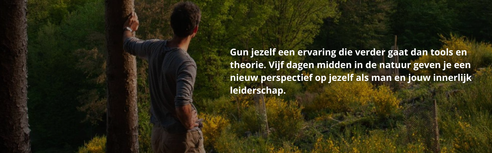 Mannelijk leiderschap banners (3)